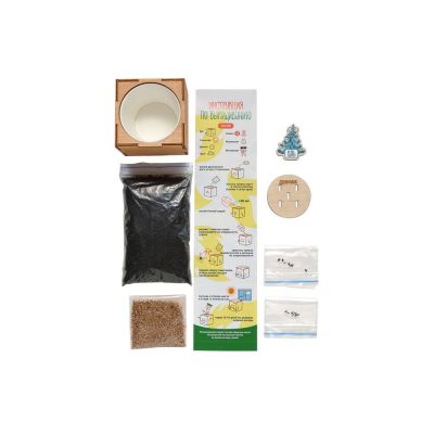 Набор для выращивания Экокуб Magicme Ель Голубая-1