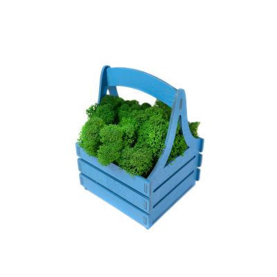 Композиция Корзинка со мхом, синий-3