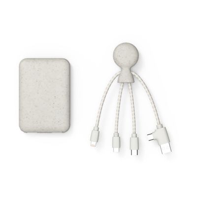 Портативное зарядное устройство BioPack c кабелем Mr. Bio, 5000 mAh, белый-0