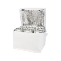 Spectrum нетканая сумка-холодильник, 4 л, на 6 банок, из переработанных материалов, белый