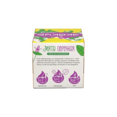 Набор для выращивания Экокуб Magicme Мята-3