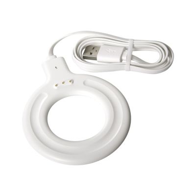 Блендер пластиковый Smoothie-2