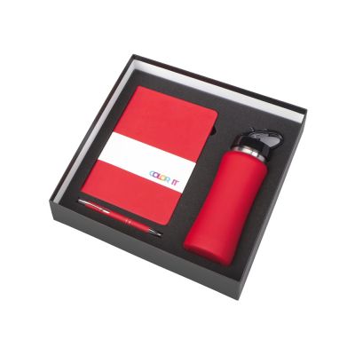 Подарочный набор с блокнотом С2, металлической ручкой и бутылкой для воды, красный-1