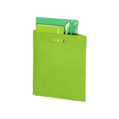 Сумка для выставок Prime, зеленое яблоко-1