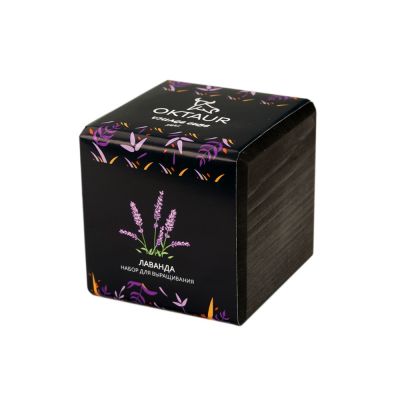 Набор для выращивания Small village cube Лаванда-0