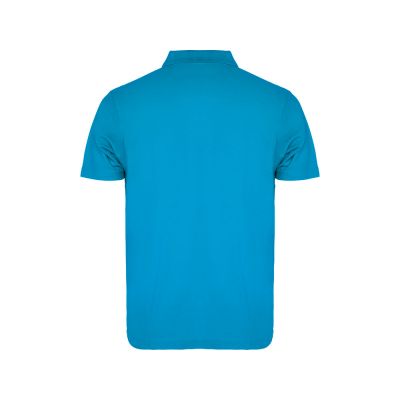 Рубашка поло Austral мужская, бирюзовый-1