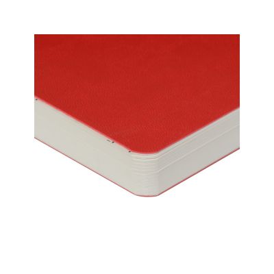 Скетчбук Sketch & Art в мягком переплете 250х179 мм, 48 л. белой бумаги 200 гр., красный-1