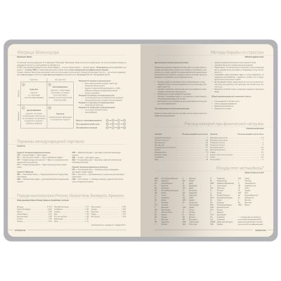 Ежедневник А5 Megapolis Color New soft-touch, серый-6