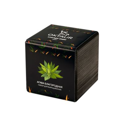 Набор для выращивания Small village cube Агава Благородная-0