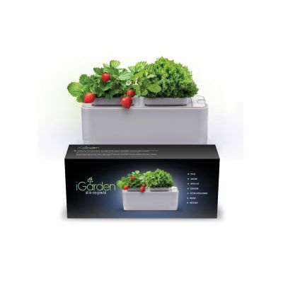 Компактный смарт-сад iGarden-2