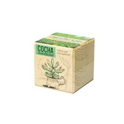 Набор для выращивания Экокуб Classic Сосна обыкновенная-1