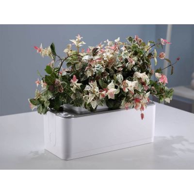 Компактный смарт-сад iGarden-6