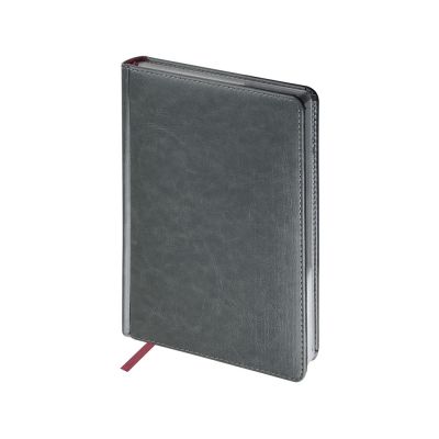 Ежедневник недатированный А5 Sidney Nebraska, серый (серебряный обрез)-0