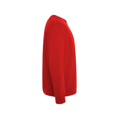 Свитшот Batian, красный-3