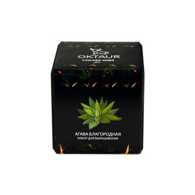 Набор для выращивания Small village cube Агава Благородная-1