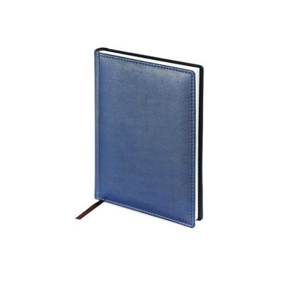 Ежедневник А5 недатированный Leader, синий-0
