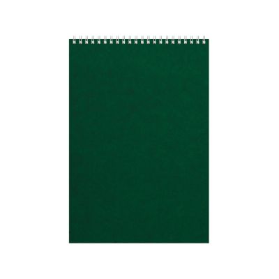 Бизнес - блокнот Альт А4 (198 х 285 мм) Office 60 л., зеленый-0