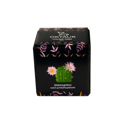 Набор для выращивания Small village cube Эхиноцереус-1