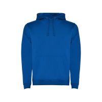 Толстовка с капюшоном Urban мужская, королевский синий
