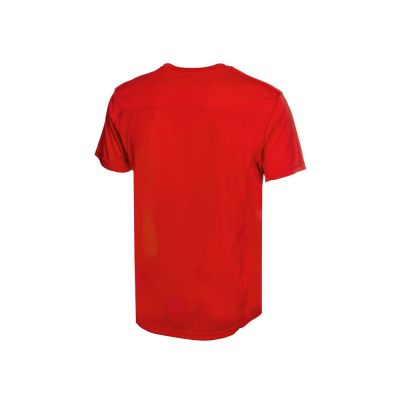 Мужская спортивная футболка Turin из комбинируемых материалов, красный-6