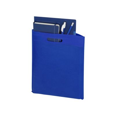 Сумка для выставок Prime, ярко-синий-1