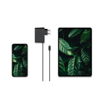 Сетевое зарядное устройство Rombica NEO Z Type-C 60-6