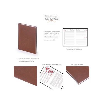 Ежедневник датированный А5 Ideal New 2026, зеленый-2