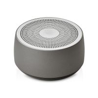 Портативная колонка Ironwood N1, 5 Вт, темно-серый