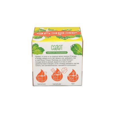 Набор для выращивания Экокуб Magicme Салат-3