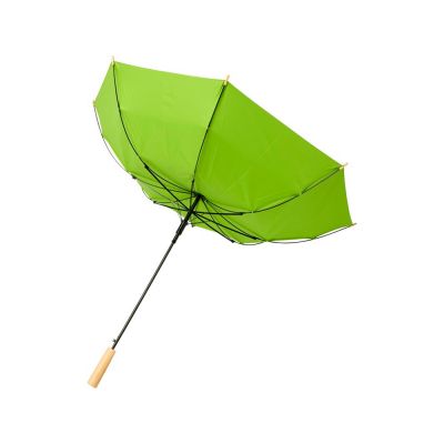 23-дюймовый автоматический зонт Alina из переработанного ПЭТ-пластика, лайм-3