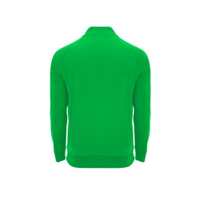 Толстовка Epiro, папоротниковый-1