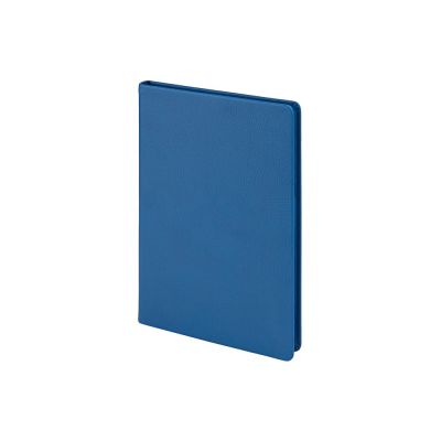 Ежедневник А5 датированный Megapolis Nappa на 2026, синий-1