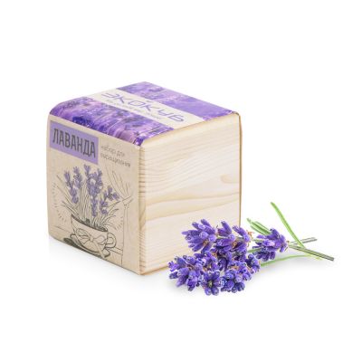 Набор для выращивания Экокуб Classic Лаванда-0