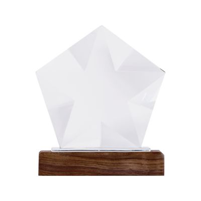 Награда Interstellar, прозрачный-1