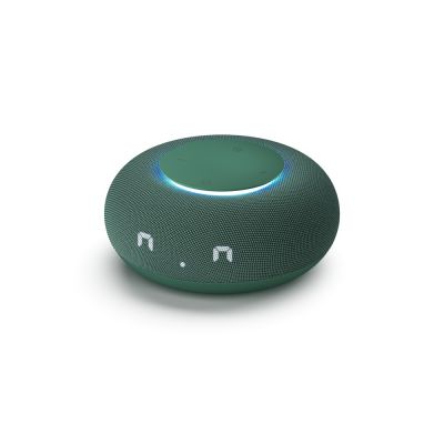 Умная колонка VK Капсула Мини с голосовым помощником Марусей, хвойный зеленый-0