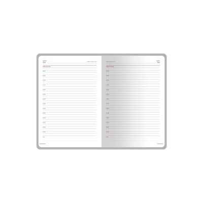 Ежедневник недатированный А6+ Magnum, коричневый-1