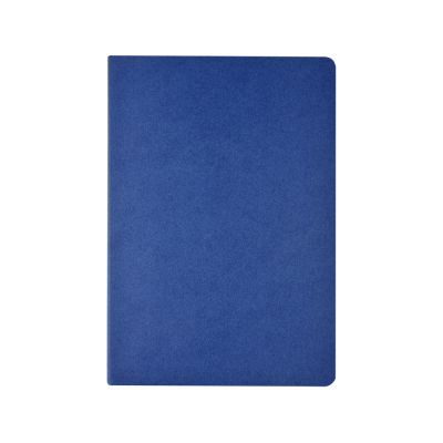 Бизнес-тетрадь А4 Pragmatic,  40л., клетка, синий-1