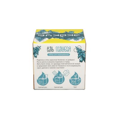 Набор для выращивания Экокуб Magicme Ель Голубая-3