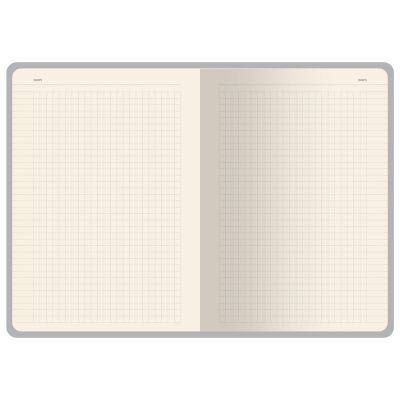 Бизнес-тетрадь А5 Pragmatic Contrast, 40 листов в клетку, белый с голубым срезом-3
