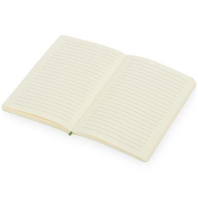 Блокнот Softy 2.0, гибкая обложка A6, 80 листов, зеленое яблоко-1