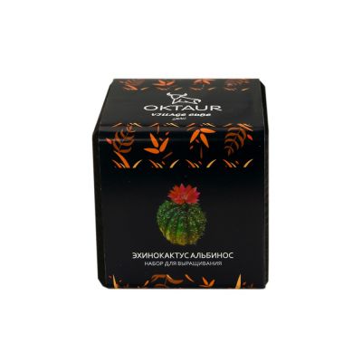 Набор для выращивания Small village cube Эхинокактус Альбинос-1