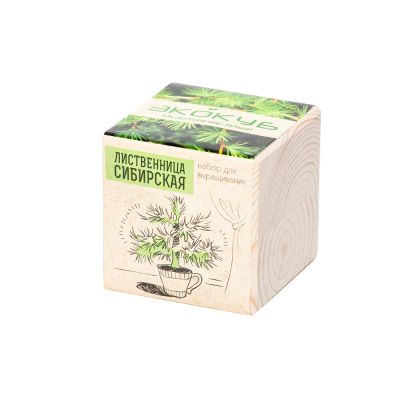 Набор для выращивания Экокуб Classic Лиственница Сибирская-1