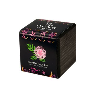 Набор для выращивания Small village cube Мимоза стыдливая-0