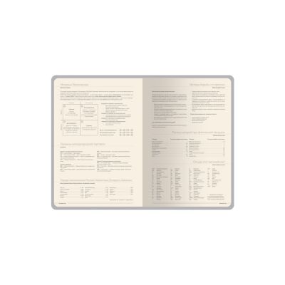 Ежедневник А5 датированный Megapolis Nappa на 2026, синий-6