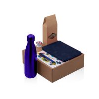 Подарочный набор с термобутылкой, блокнотом, ручкой и чаем, синий