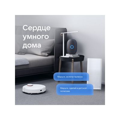 Умная колонка VK Капсула с голосовым помощником Марусей, черный-9