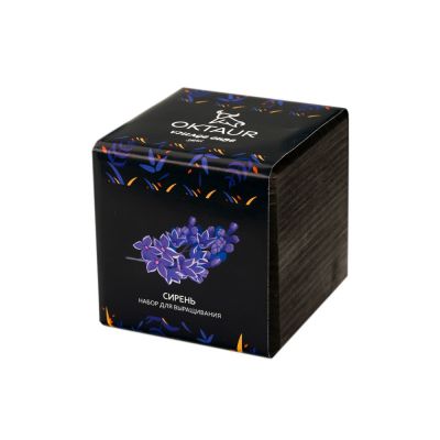 Набор для выращивания Small village cube Сирень-0