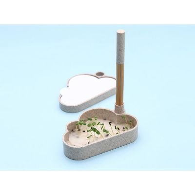 Набор для записей с семенами ромашки Patio-1