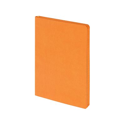Ежедневник недатированный А5 Megapolis Color Flex, оранжевый-2