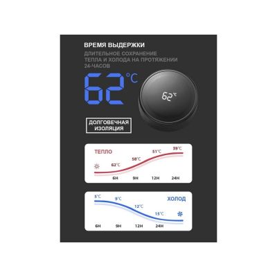 Термос с индикатором температуры LEMARK (Чёрный)-2